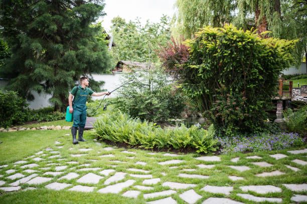 Lawn Irrigation Installation and Maintenance in Moore, OK