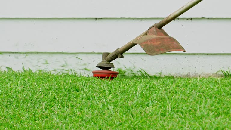 Best Tree Preservation Services  in Moore, OK