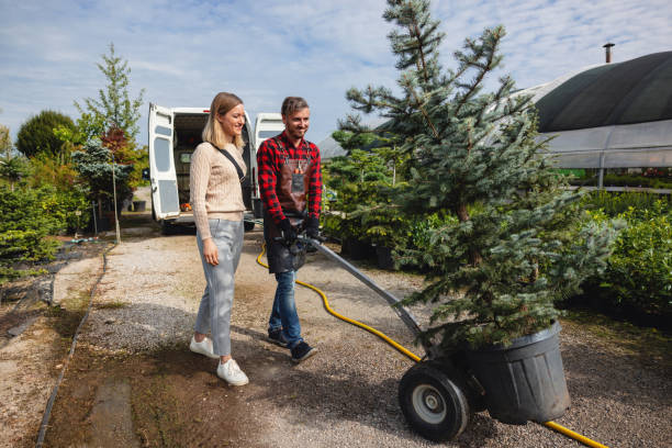 Best Aeration Services  in Moore, OK